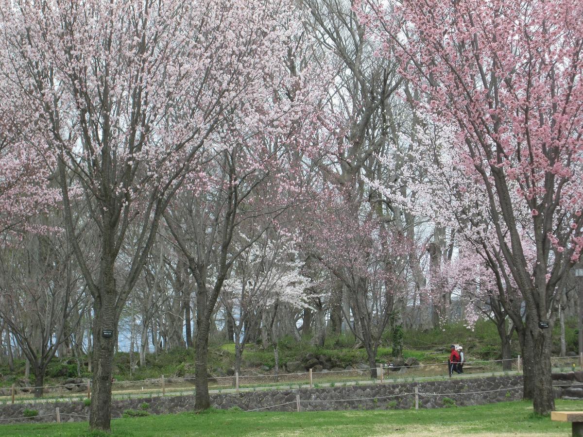 ホテル びっくりりえたん 木島平村 エクステリア 写真
