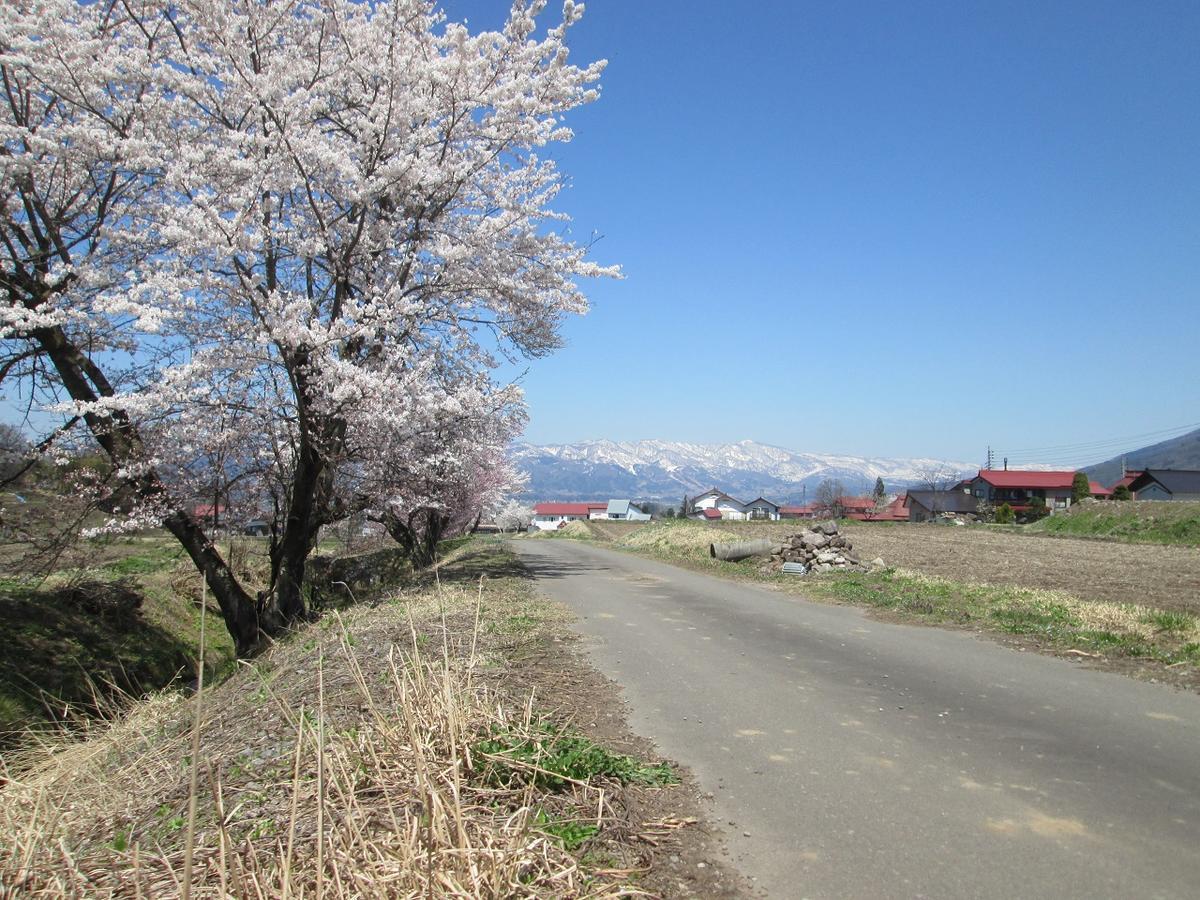 ホテル びっくりりえたん 木島平村 エクステリア 写真
