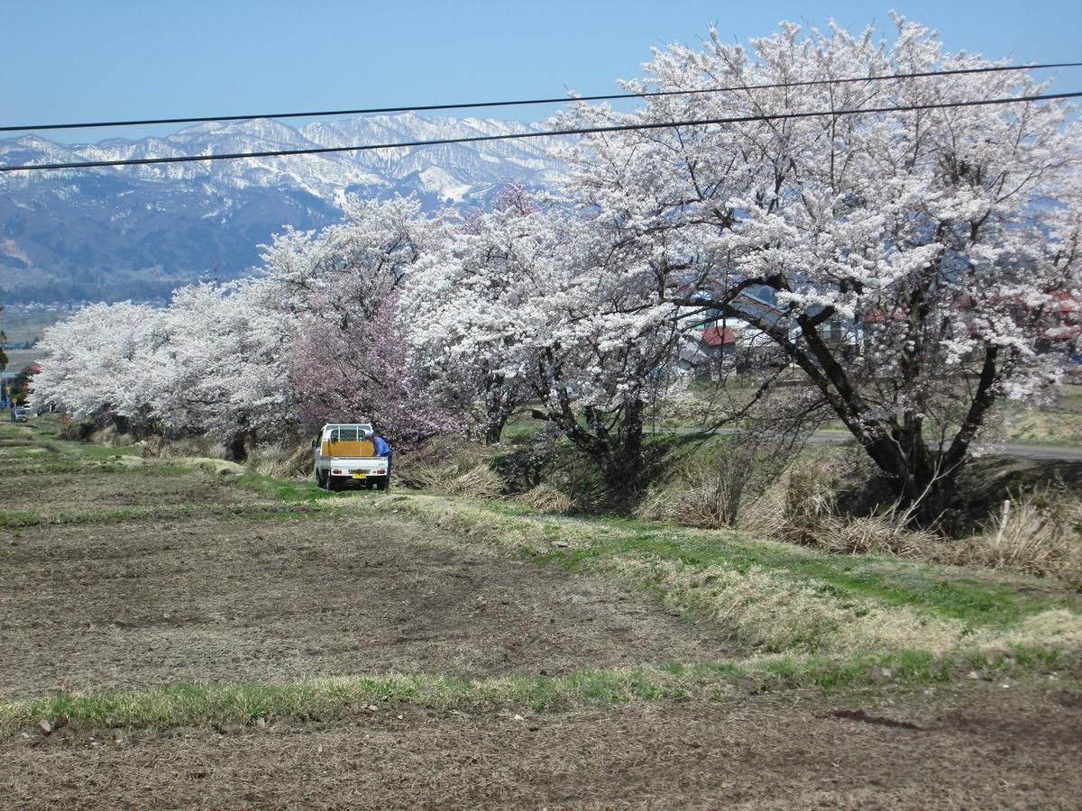 ホテル びっくりりえたん 木島平村 エクステリア 写真