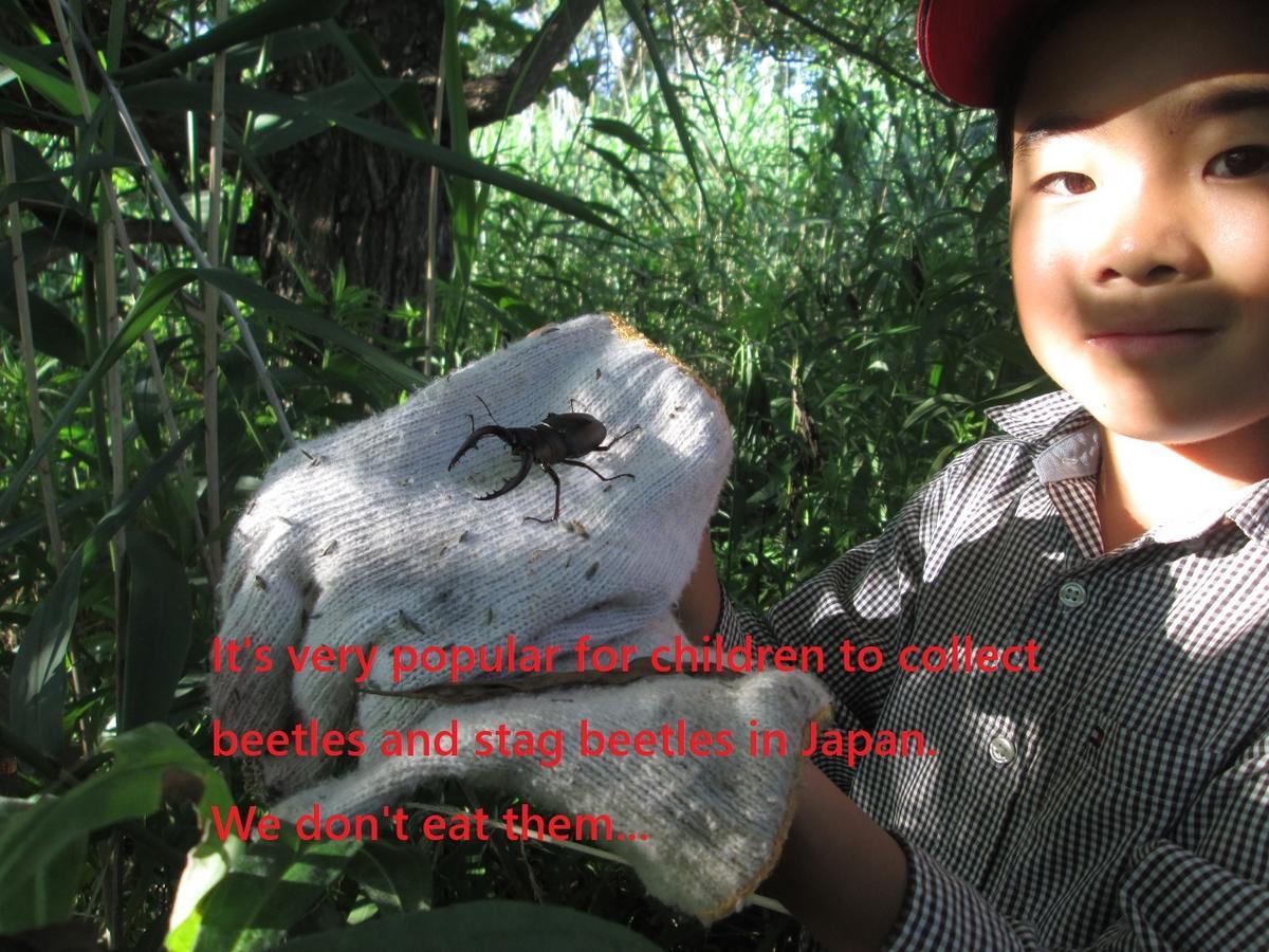 ホテル びっくりりえたん 木島平村 エクステリア 写真
